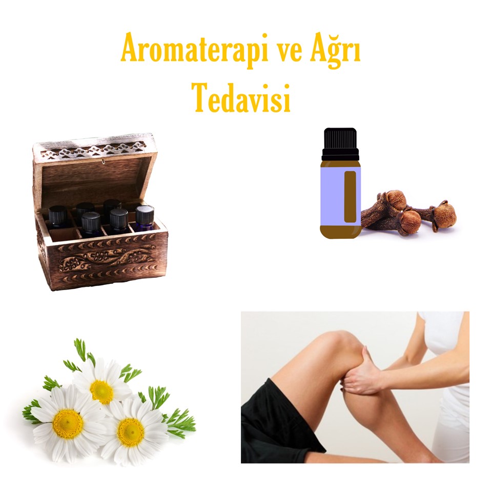 Aromaterapi ve  Ağrı  Tedavisi