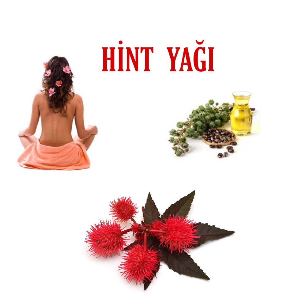 Hint Yağı