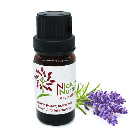 Lavender Oil