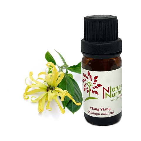 YLANG YLANG UÇUCU YAĞI